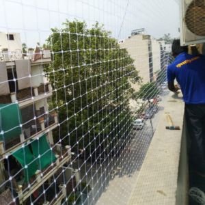 Product Image of Co Polymer Nylon Transparent Net In Bareja 